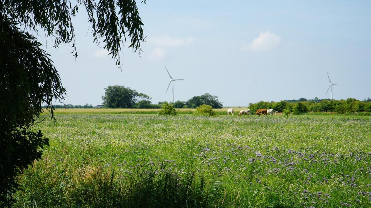 Ferienhaus Achtern Diek Emmelsbull-Horsbull Luaran gambar